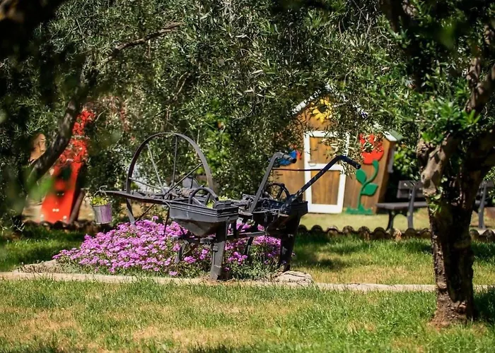 Feriehus Bruna Mit Privatem Pool By Interhome