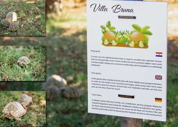 Bruna Mit Privatem Pool By Interhome Šibenik